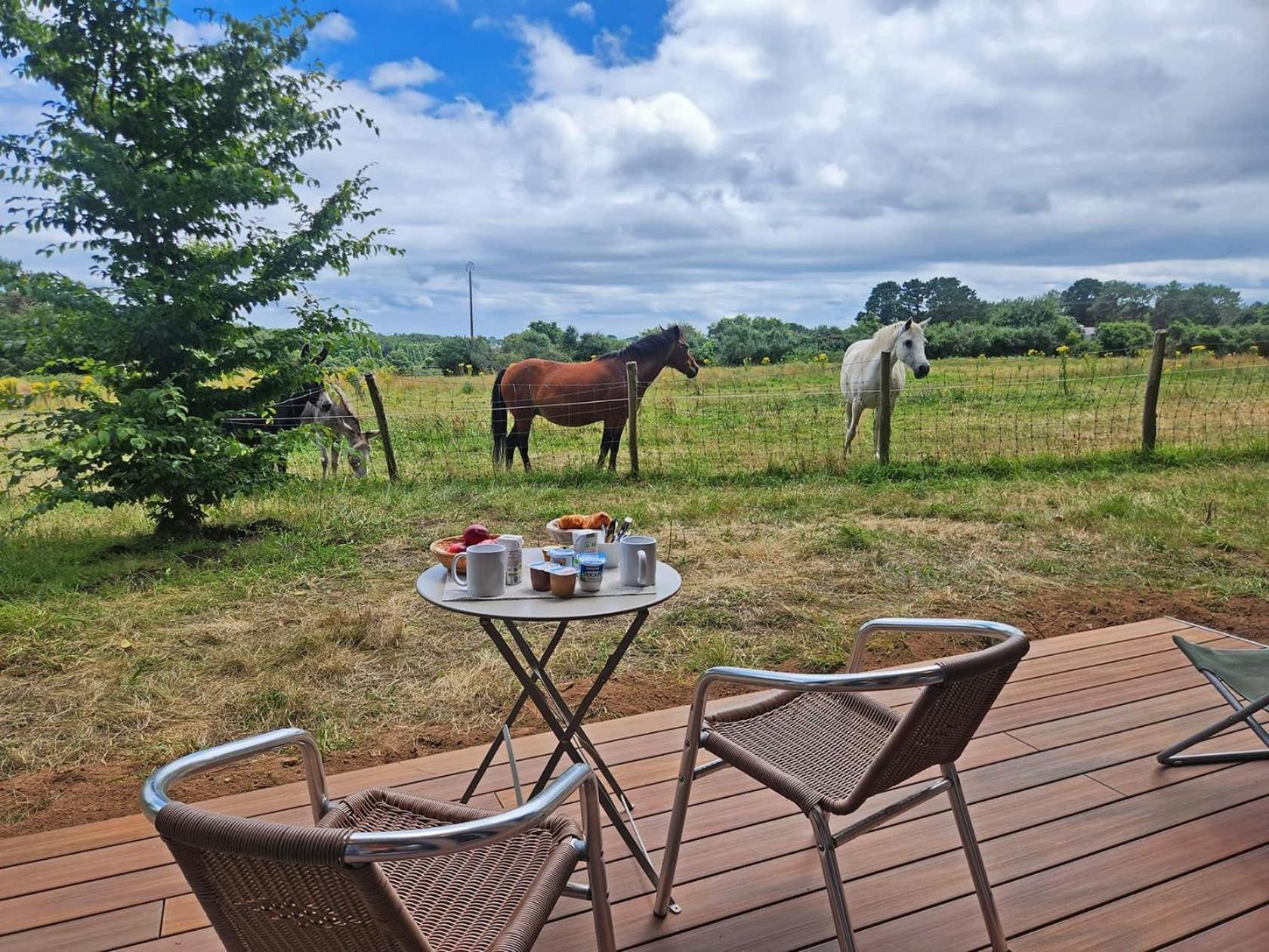 Gites & Tiny Houses Les Hauts De Toulvern Baden Room photo