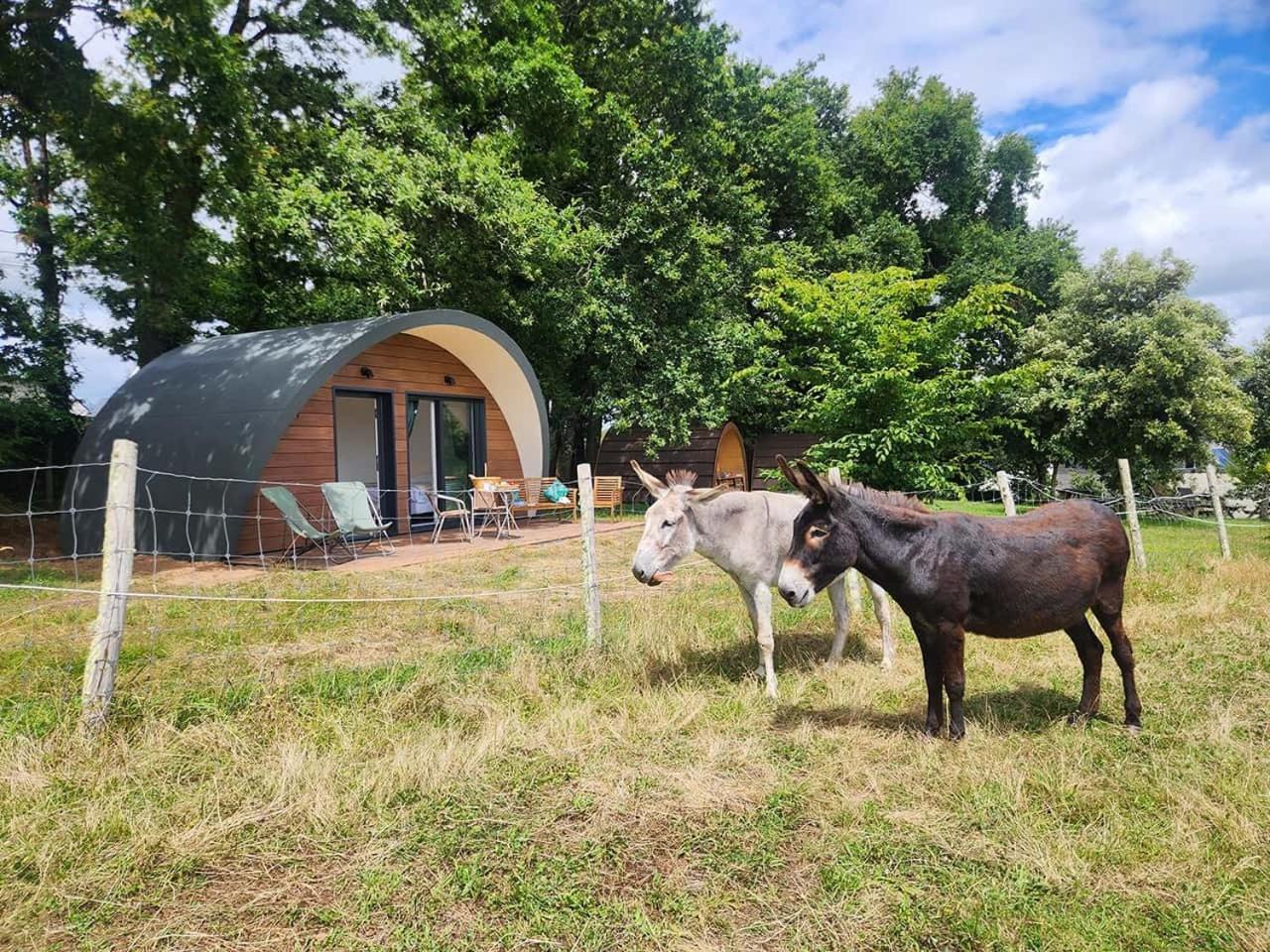 Gites & Tiny Houses Les Hauts De Toulvern Baden Room photo